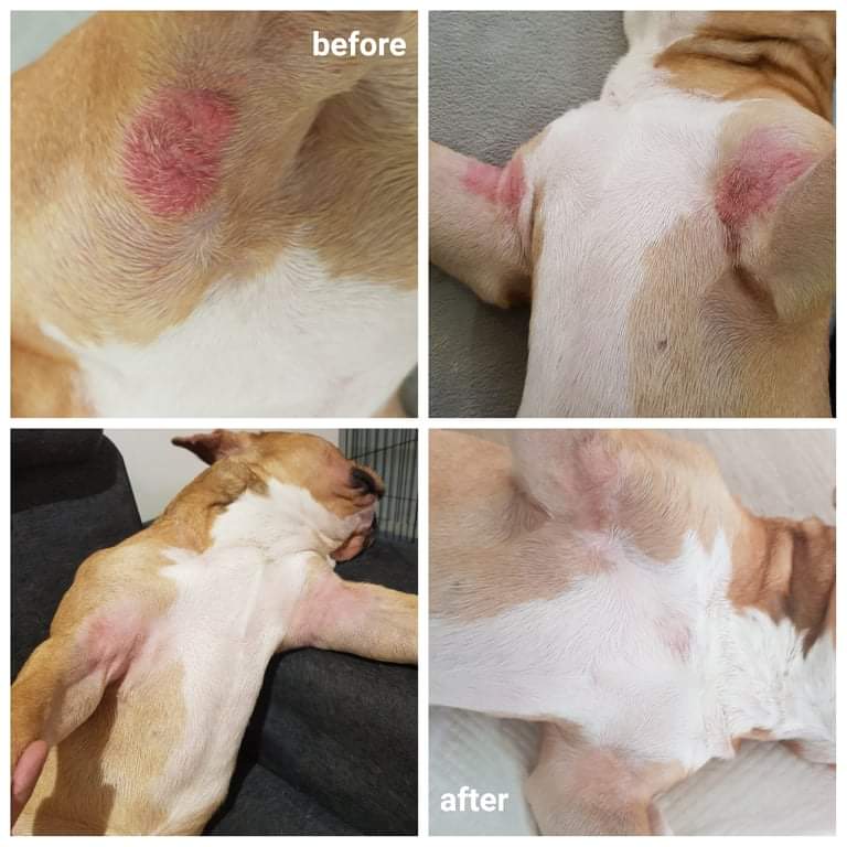 JOOF Transformation 1
