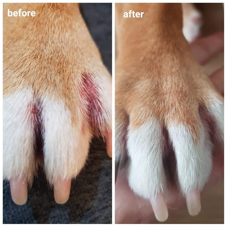 JOOF Transformation 2