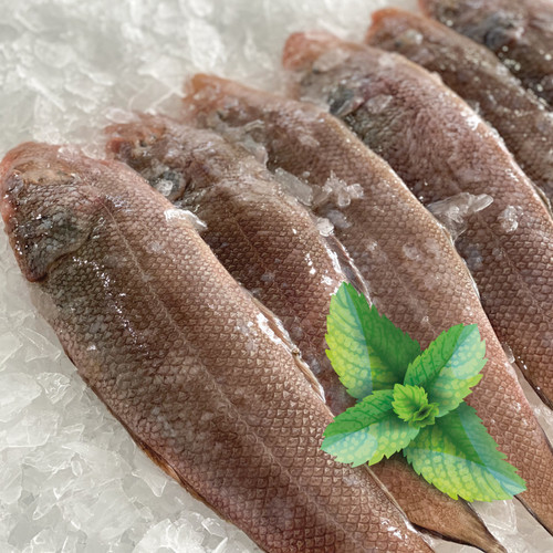 Freshness Seafood Ikan Lidah 中利 500g per pack