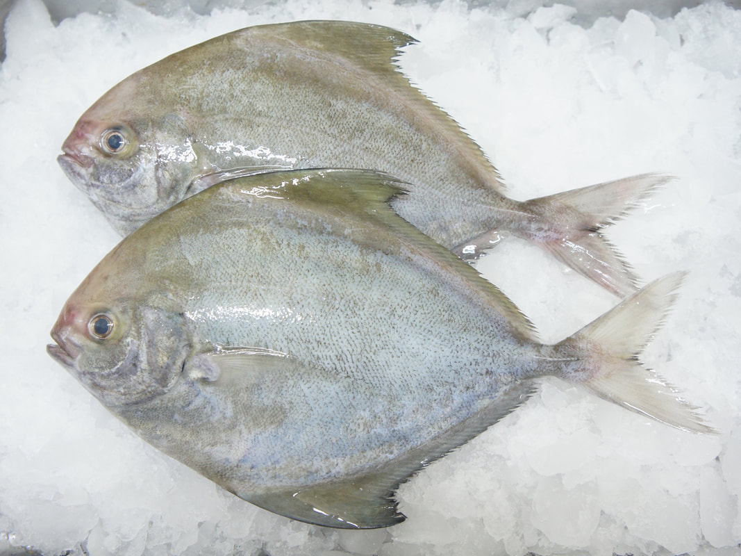 Freshness Bawal Hitam (B ) 大黑昌 1kg 清洗kj