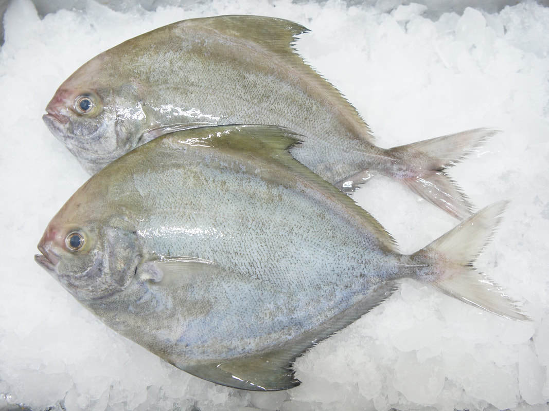 Freshness Bawal Hitam (B ) 大黑昌 1kg 清洗kj