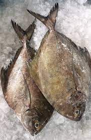 Freshness Bawal Hitam (B ) 大黑昌 1kg 清洗kj