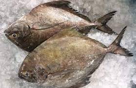 Freshness Bawal Hitam (B ) 大黑昌 1kg 清洗kj