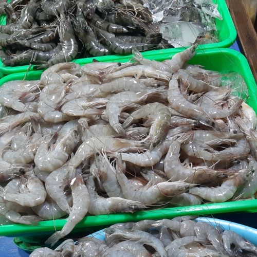 Freshness Udang Besar 大虾 (31-40 ekor) 500g / pack