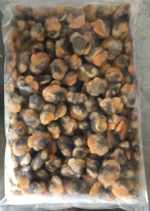 Blood Cockle Meat (Isi Kerang) / 血蛤肉 1kg