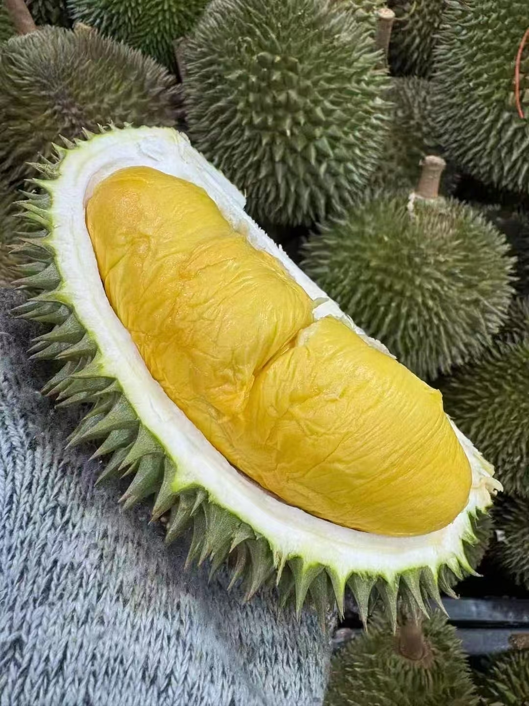 Fresh Musang King Pulp 新鲜猫山王果肉 100g