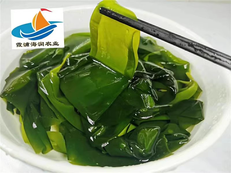 Xiapu kelp seedlings fresh specialty kelp sprouts small kelp 500 g 霞浦海带嫩苗新鲜特产海带芽小海带