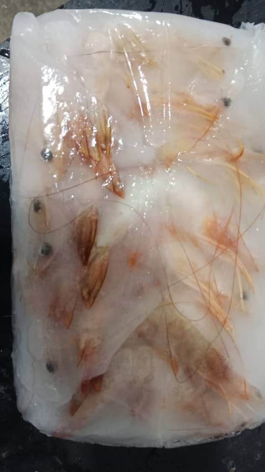 Freshness Udang Besar 大虾 (31-40 ekor) 500g / pack