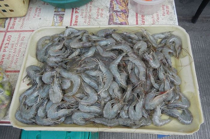 Freshness Udang Tajam 占虾 500g / pack
