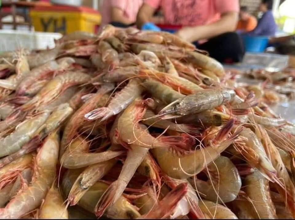 Freshness Udang Tajam 占虾 500g / pack