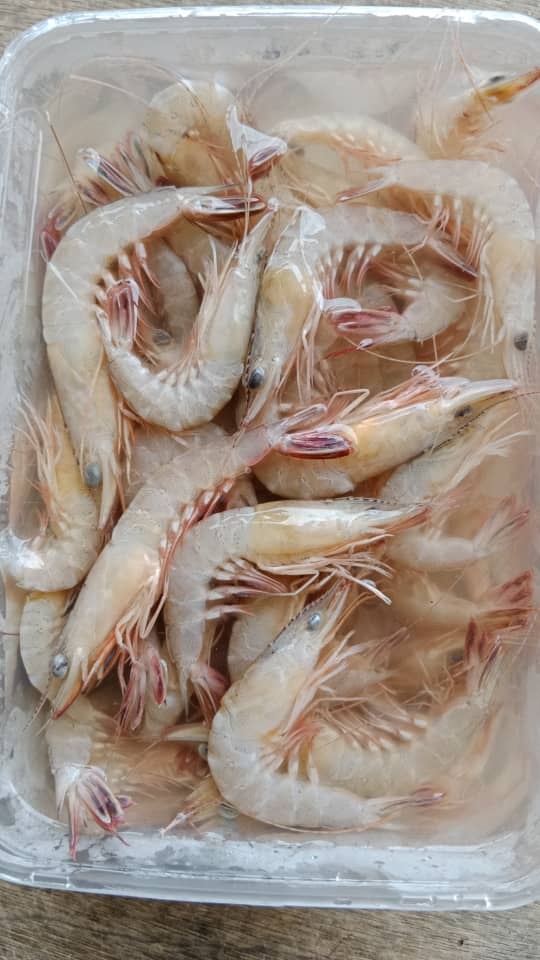 Freshness Udang Tajam 占虾 500g / pack