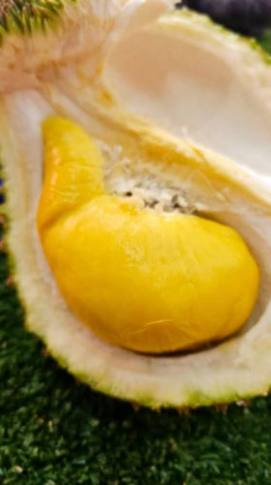 Fresh Musang King Pulp 新鲜猫山王果肉 100g