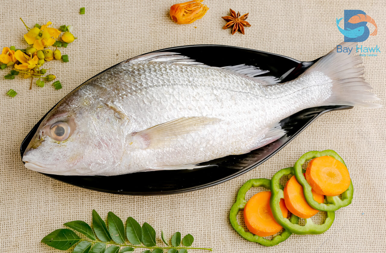 White Snapper | Jenahak Putih | 大白皂魚 sale with kg