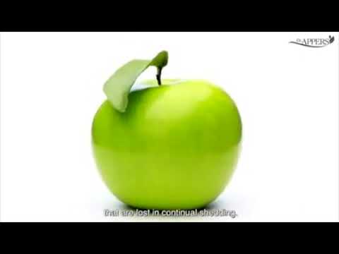 💯Original Ready Stocks Swisscorr Apple Stem Cell Dr Appers苹果干细胞 Dr.Appers Stemcell Essence