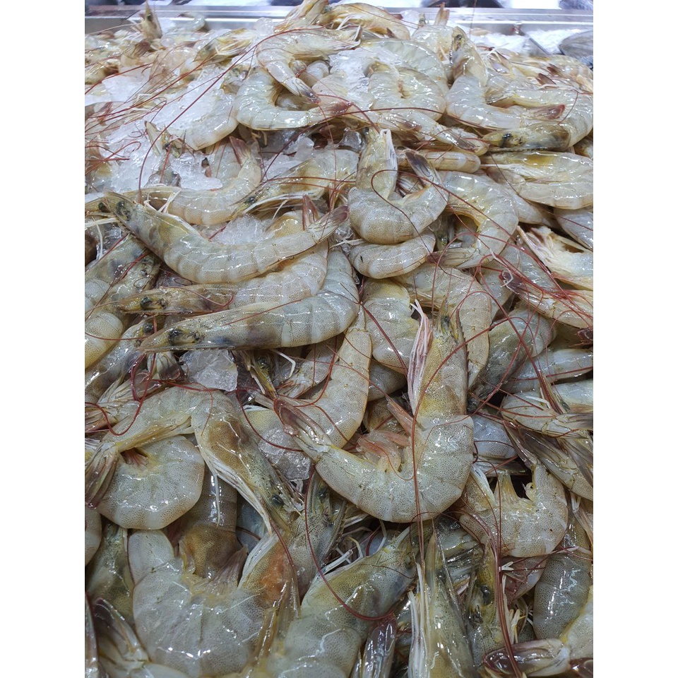 Freshness Udang Kelabu (ekor) 麻虾 500g / pack