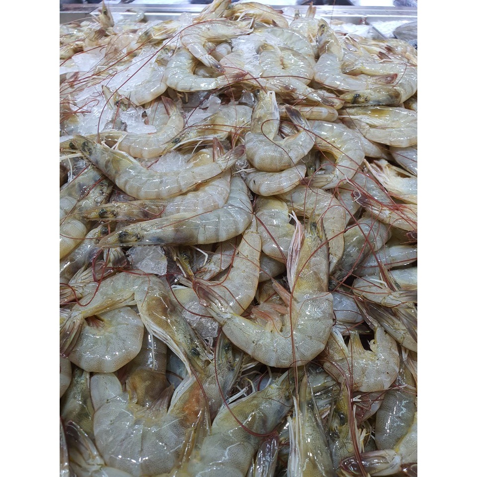 Freshness Udang Kelabu (ekor) 麻虾 500g / pack