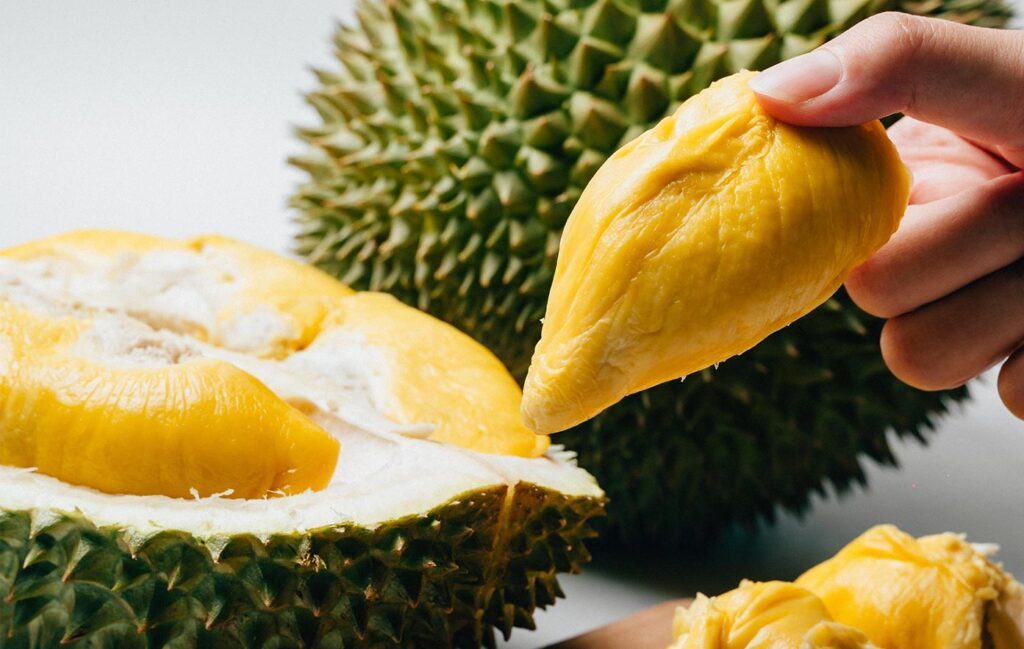 Fresh Musang King Pulp 新鲜猫山王果肉 100g