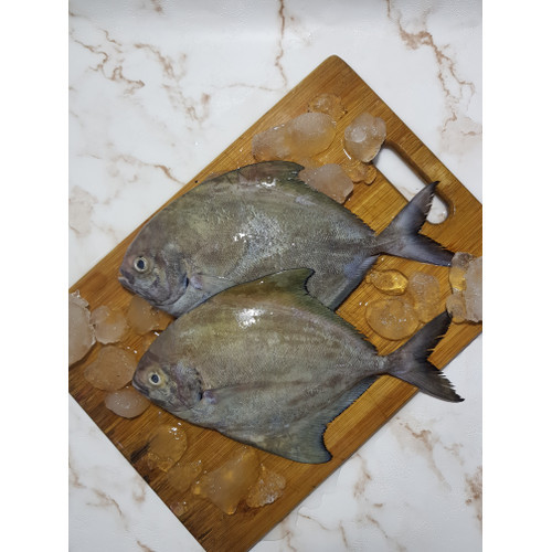 Freshness Bawal Hitam (B ) 大黑昌 1kg 清洗kj