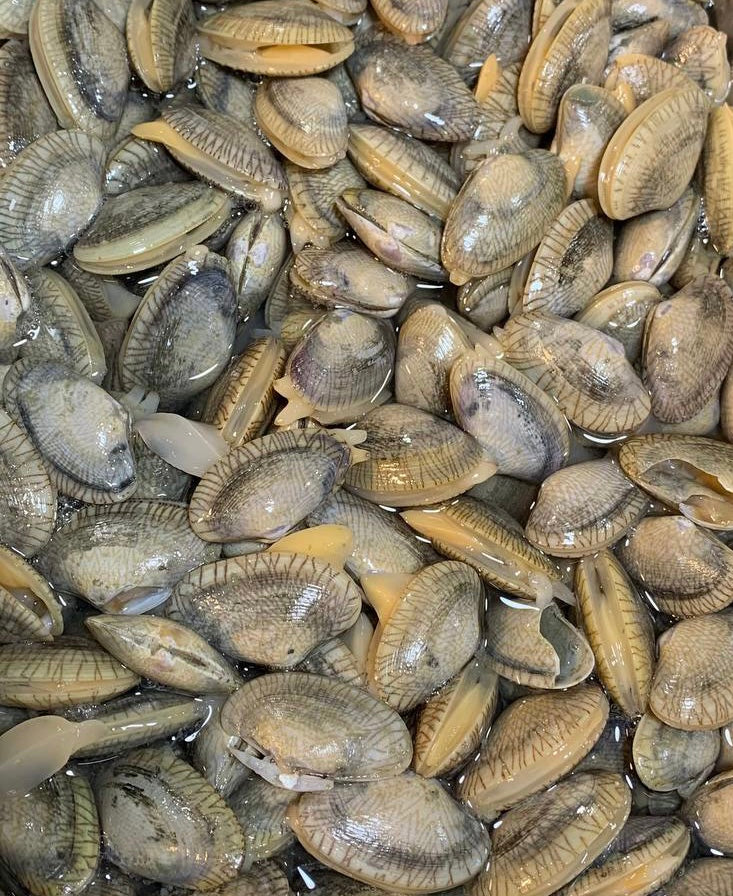 Lala Kepah Fresh Makanan Laut 啦啦  (500gm/pk)