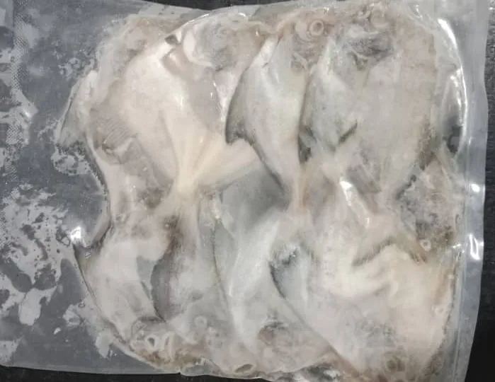 Bawal Hitam (5-6 ekor) 中黑昌