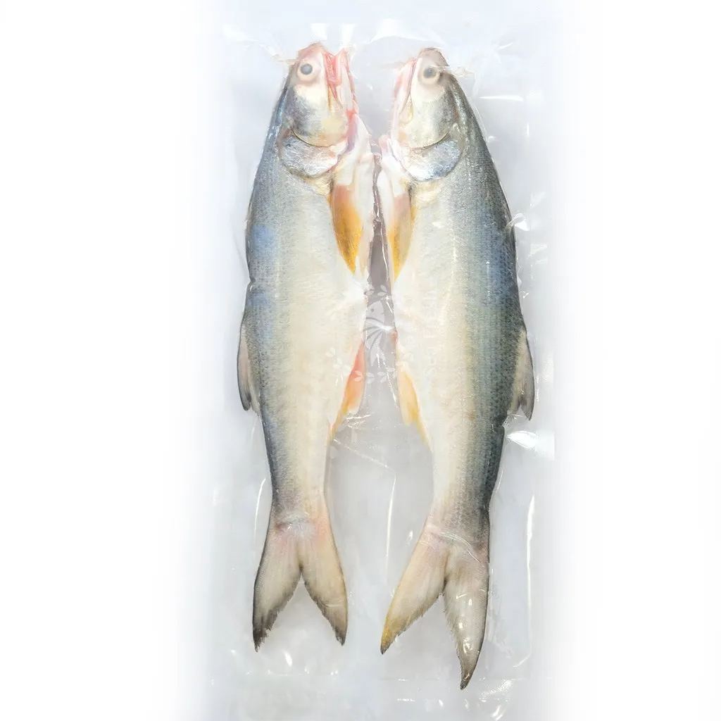 Freshness Local Fish Threadfin | Senangin | 马友鱼 1kg / pack