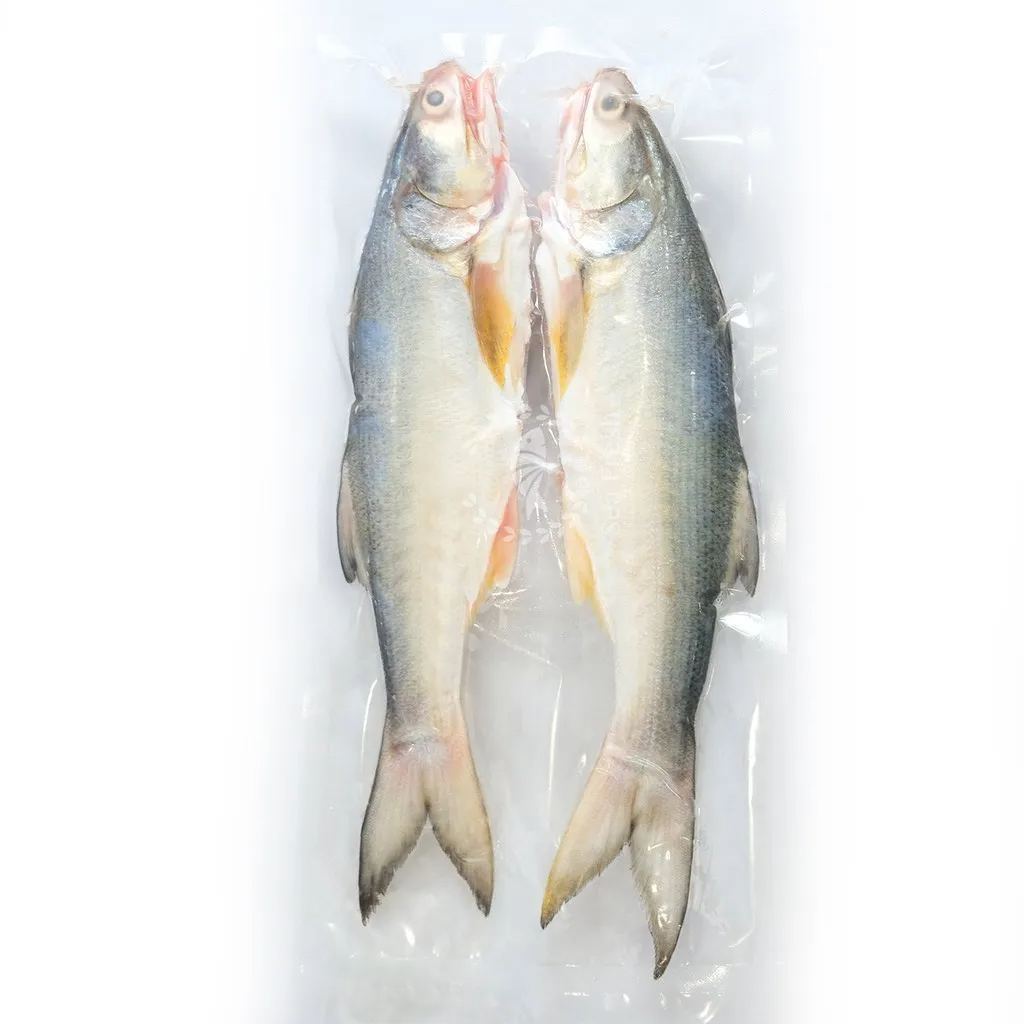 Freshness Local Fish Threadfin | Senangin | 马友鱼 1kg / pack