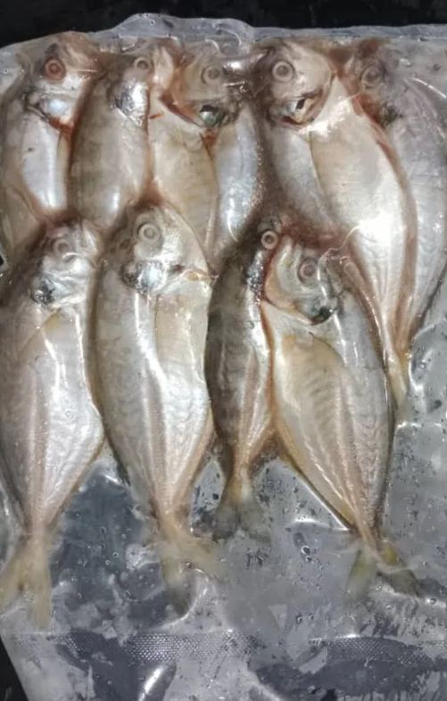 Freshness ikan Selar 色拉鱼 500g / pack