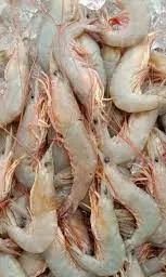 Freshness Udang Kelabu ekor 麻虾 500g / pack
