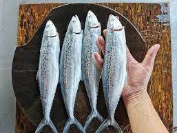 Ikan Tenggiri Yang Siap Bersih (1 ekor) ,Mackerel fish that is ready to clean (pc),馬鮫魚已经过处理干净