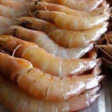 Freshness Udang Kelabu (ekor) 麻虾 500g / pack