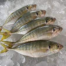 Freshness ikan Selar 色拉鱼 500g / pack