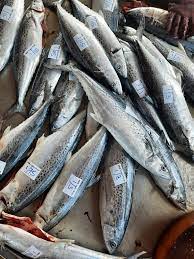  Korean Seerfish | Tenggiri Papan| 大板鲛鱼whole pieces 整只1 kg up