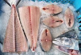  Korean Seerfish | Tenggiri Papan| 大板鲛鱼whole pieces 整只1 kg up