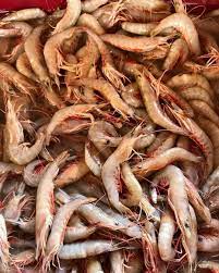 Freshness Udang Kelabu (ekor) 麻虾 500g / pack