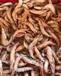 Freshness Udang Kelabu (ekor) 麻虾 500g / pack