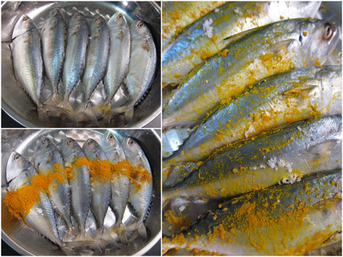 Freshness ikan kembung 500g / pack 甘梦鱼 (7-10 ekor)