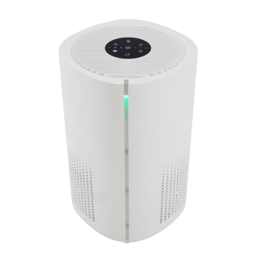 空気清浄機 小型 花粉症 除菌 消臭 省エネ 花粉対策 脱臭機 たばこ用 除菌 脱臭機 タバコ 消臭機 ペット