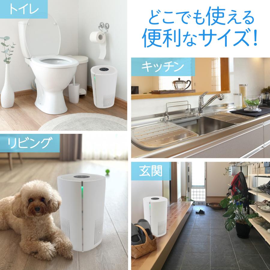 空気清浄機 小型 花粉症 除菌 消臭 省エネ 花粉対策 脱臭機 たばこ用 除菌 脱臭機 タバコ 消臭機 ペット