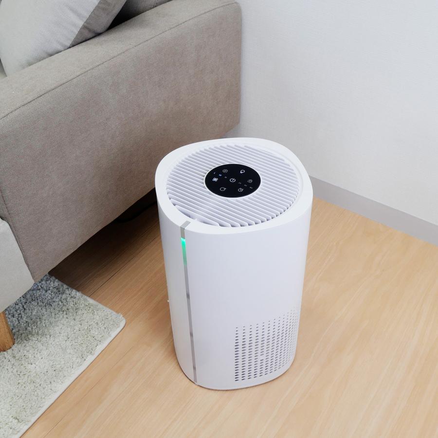 空気清浄機 小型 花粉症 除菌 消臭 省エネ 花粉対策 脱臭機 たばこ用 除菌 脱臭機 タバコ 消臭機 ペット