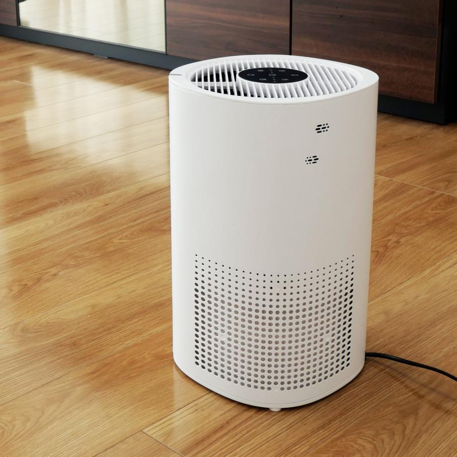 空気清浄機 小型 花粉症 除菌 消臭 省エネ 花粉対策 脱臭機 たばこ用 除菌 脱臭機 タバコ 消臭機 ペット
