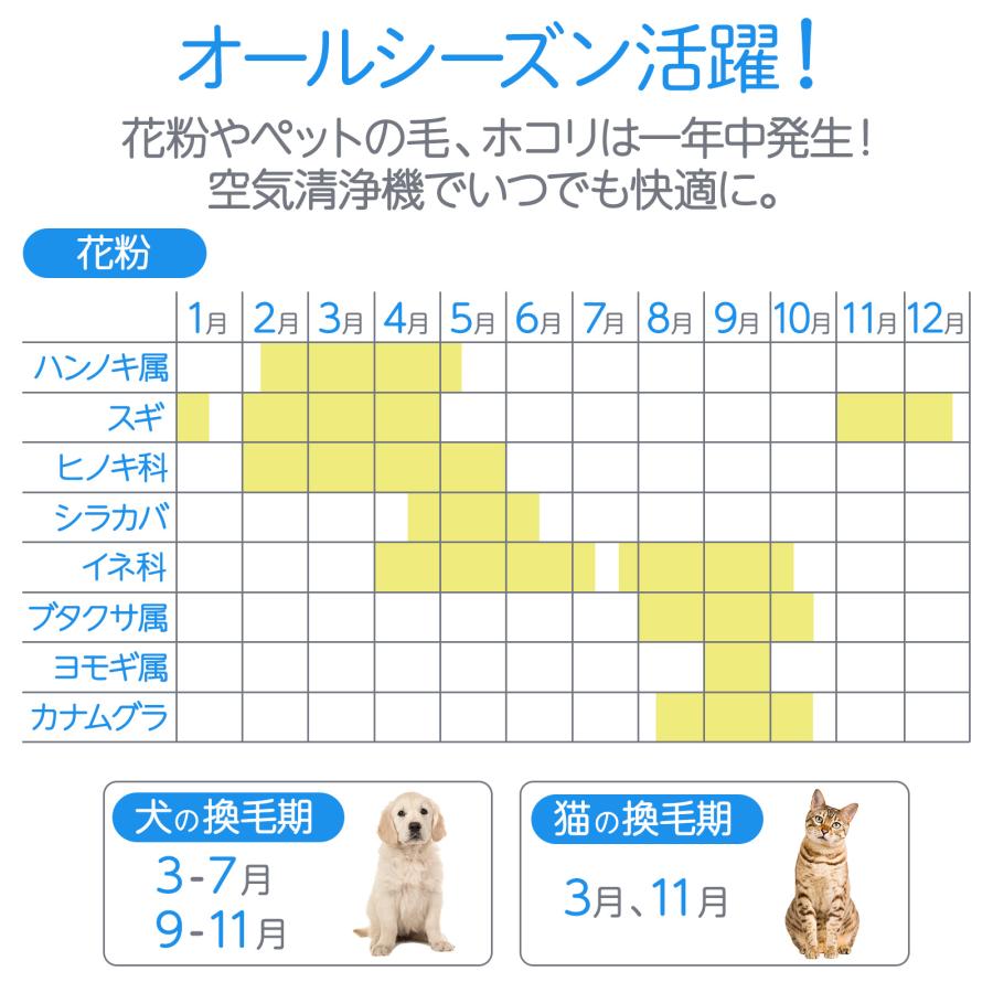 空気清浄機 小型 花粉症 除菌 消臭 省エネ 花粉対策 脱臭機 たばこ用 除菌 脱臭機 タバコ 消臭機 ペット