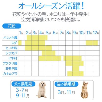 空気清浄機 小型 花粉症 除菌 消臭 省エネ 花粉対策 脱臭機 たばこ用 除菌 脱臭機 タバコ 消臭機 ペット