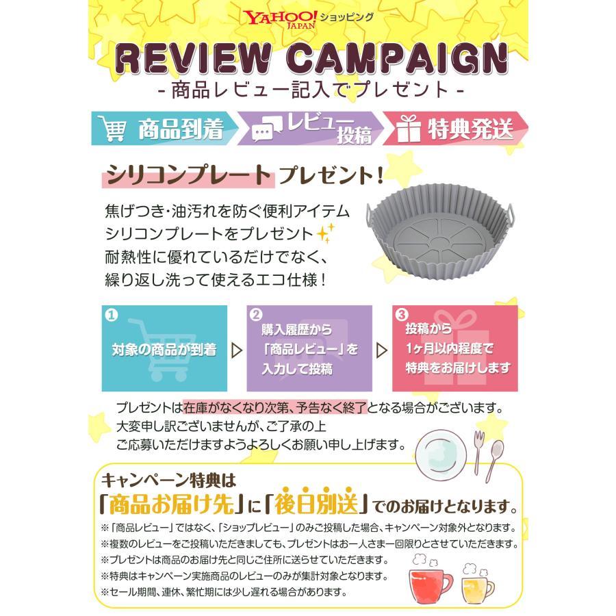 ノンフライヤー フライヤー 電気 6.3L 大容量 エアフライヤー レシピ本付 電気フライヤー 家庭用 ヘルシー