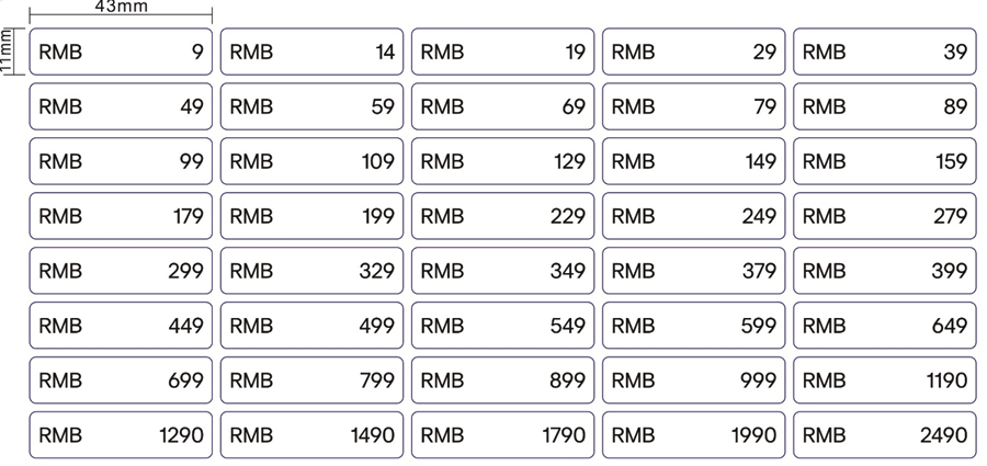 H&M Price Point Sticker (With RMB) - 43 x11mm