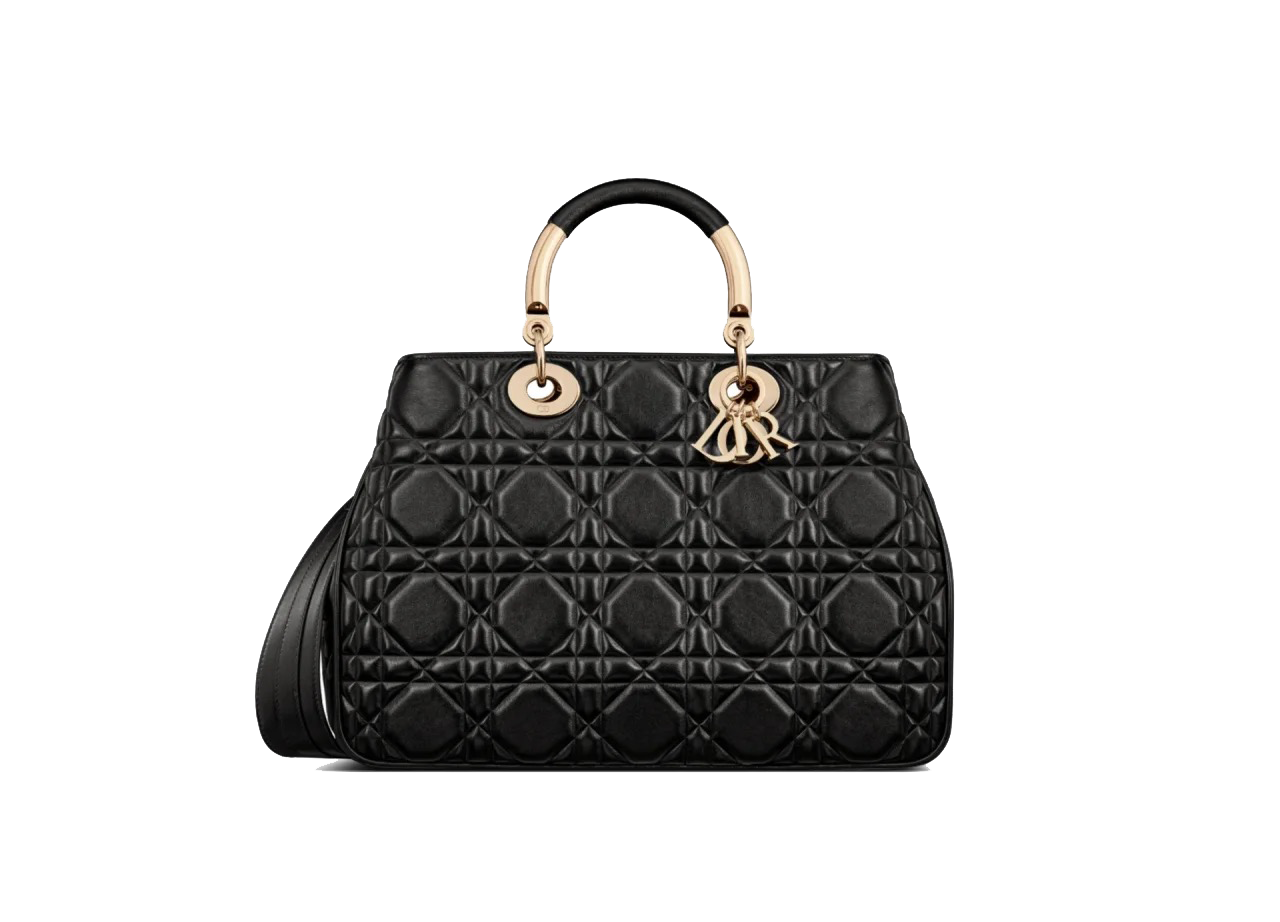 2023年春夏の新作「DIOR-Lady 95.22」がリリース。高揚感をくれるバッグ、使い勝手も抜群！心ときめく新鮮さと、時代を超えて愛される普遍性。多くのセレブが愛用する！