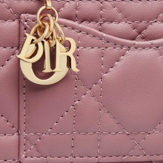 国内発送◇直営買付　◆DIOR◆　ロゴ　フラグメントケース♪