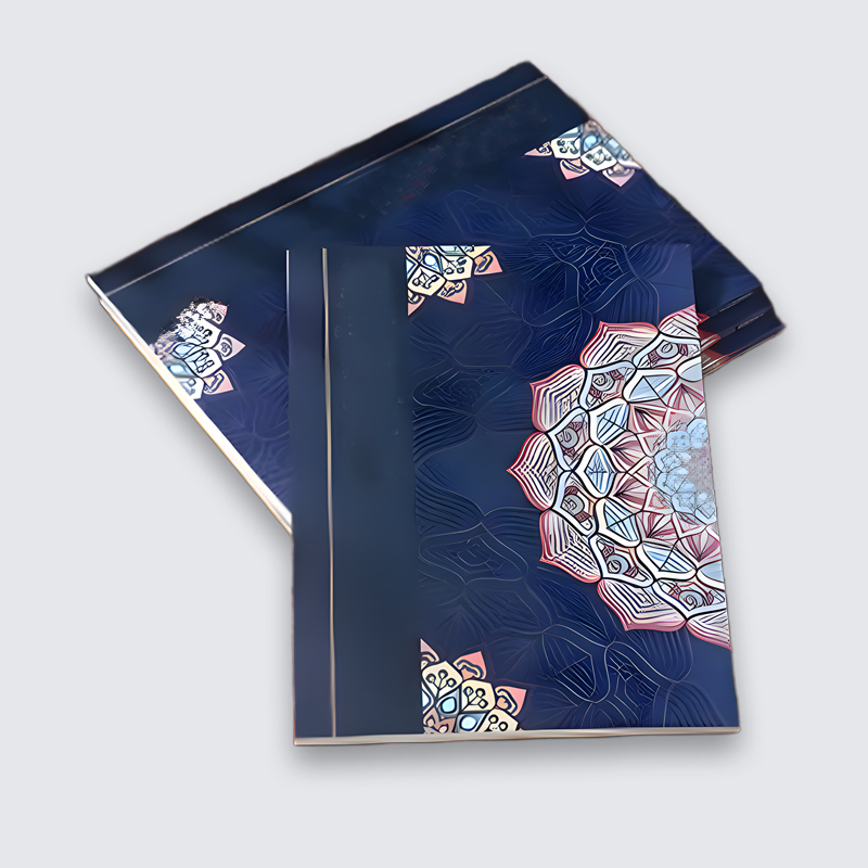 古典硬筆楷書練字帖中國傳統文化臨摹字帖 描金硬筆版