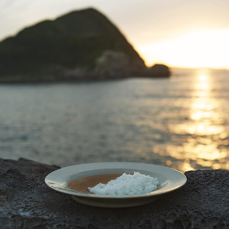 カレープチセット