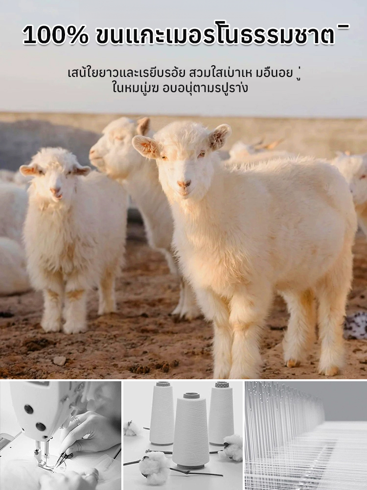 ✨ เสื้อคาร์ดิแกนถักไหมพรมแบบซิปหน้า นุ่มสบาย | ขนแกะเมอริโนธรรมชาติ 100% 🌟