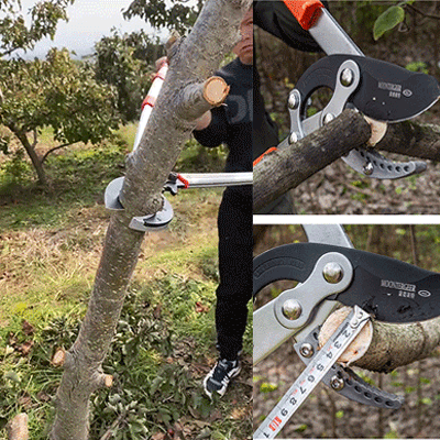 SK5 fruit tree thick branches vigorously pruner